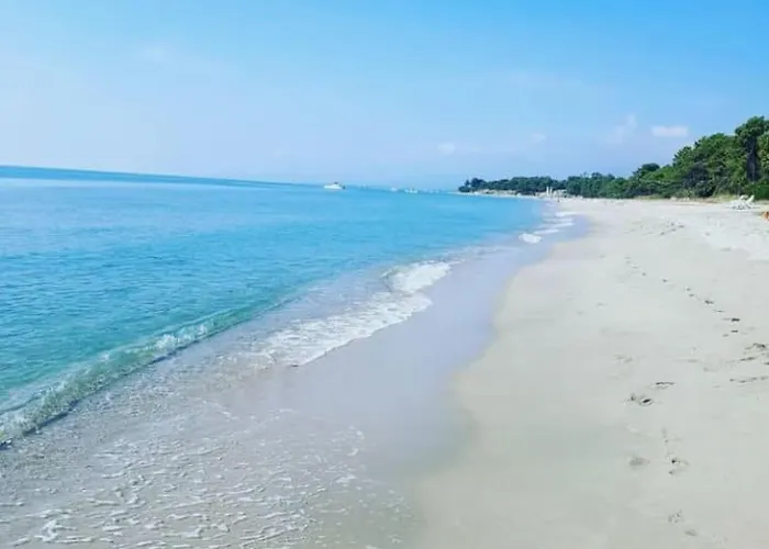 Mina Сasa de vacaciones