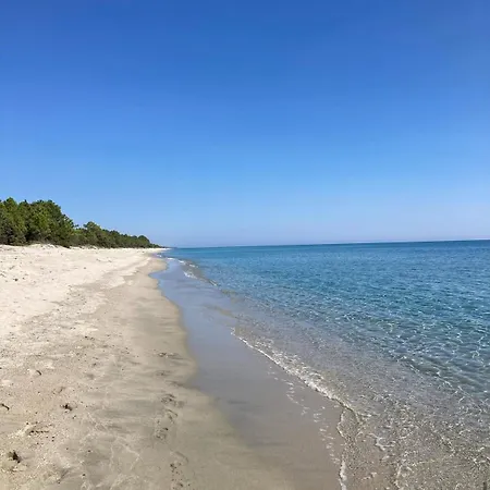 Mina Ghisonaccia